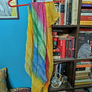 Multicolor Chiffon Scarf