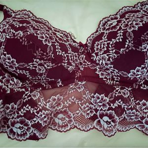 Clovia Lace Padded Bra (Maroon)