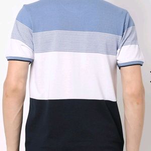 NETPLAY Regular Fit Polo T-shirt