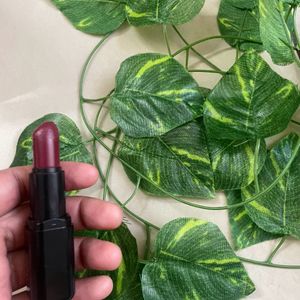 Kiko Maroon Lipstick