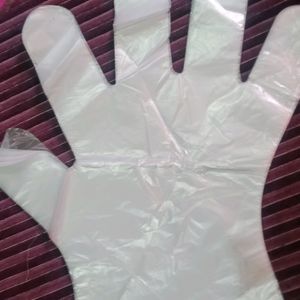 Disposable Plastic Gloves