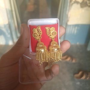 New Never Used Earrings Golden Designer