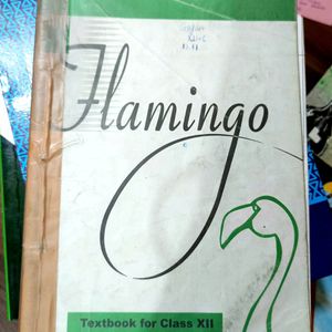 Flamingo NCERT