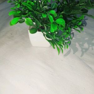 Set Of 4 Artificial Plants