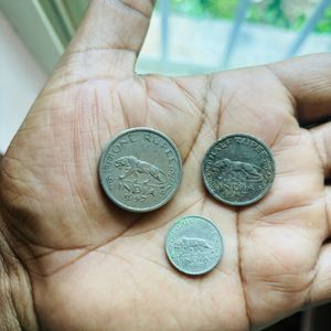 Tiger Rupee Set of 3 coins