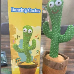 Dancing Cactus 🌵