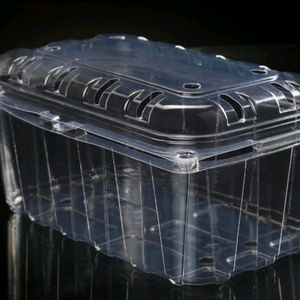 Disposable Plastic Containers With Hinged Lid 6pcs