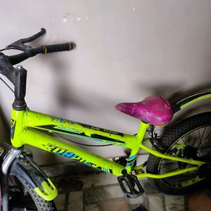 2 Cycle In Used Condition