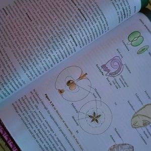 Class 12th NCERT Biology