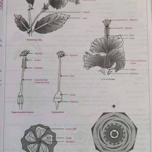 New Biology Lab Manual Class 11 | Latest Syllabus