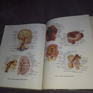 DORLAND'S Medical Dictionary