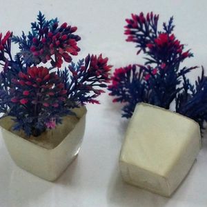 Plants 1 pair Blue multo Artificial Showpic indoor