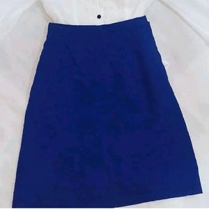 Blue Skirt For Women