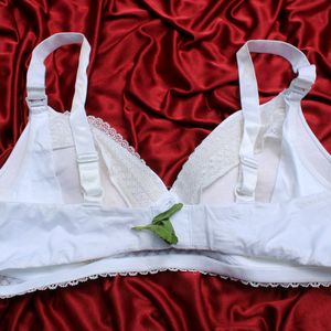 Women T-shirt Padded Bra