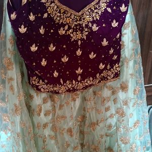 Beautiful Pastel Green Lehnga With Wine Blouse