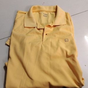 Golden Yellow Collar T Shirt...