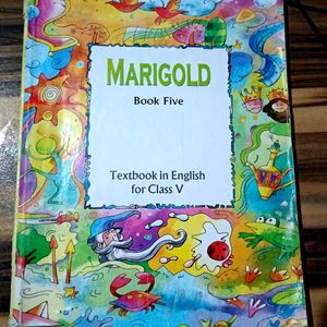 English Book Class 5