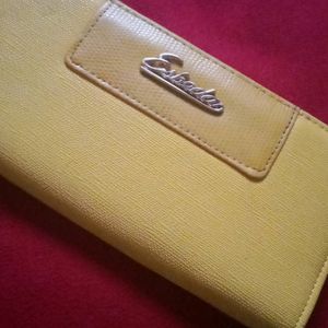 A Wallet In Golden Colour