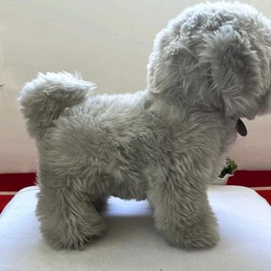 Dog Soft Toy