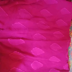 Net Wala Multicolor Saree