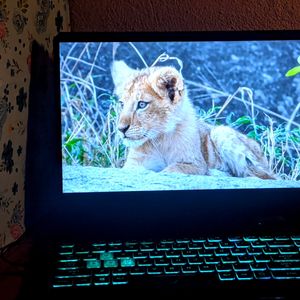 Asus Tuf Gaming Laptop For Sell