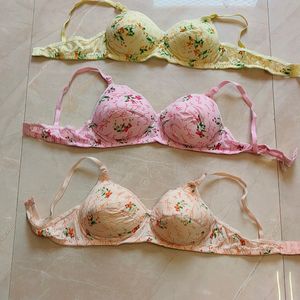 New Pack Of 3 Women Bra