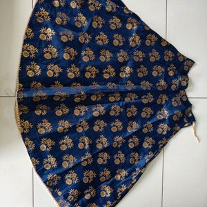 Blue Traditional Wear Choli Skirt