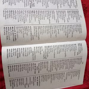 Bilingual (English + Hindi ) Dictionary