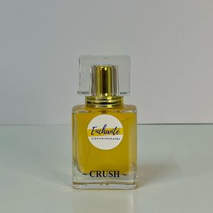 Luxury Brand Inspired perfume - 30ml (for her)