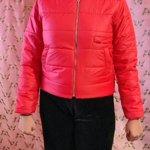 WINTER SALE KOREAN PUFFER JACKETS