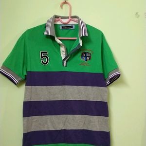 Green And Purple Multicolour Tshirt With Collar