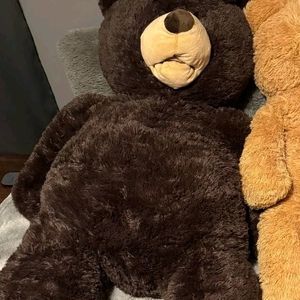 Dark Brown Teddy Bear