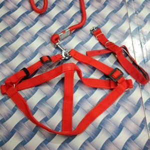 Dog leash And Collar Set For Harness