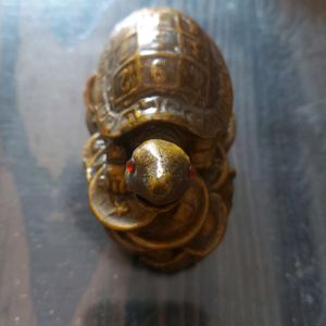 Turtle Decorative