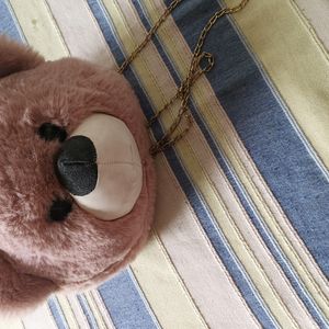 Teddy Bear Bag For Girls