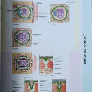 ANATOMY COMPLETE Book (Notebook + MCQ)