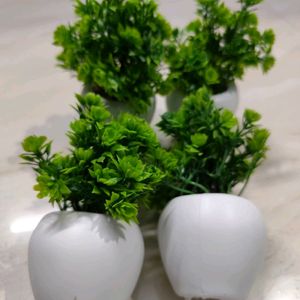 Pack Of 4 Artificial Plants..