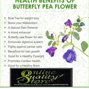 Butterfly Pea Flower 600