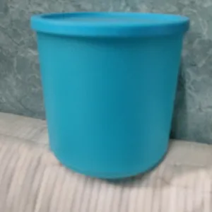 Tupperware Container