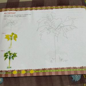 ART AND ACTIVITY BOOK