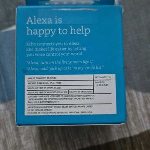 Amazon Echo Flex