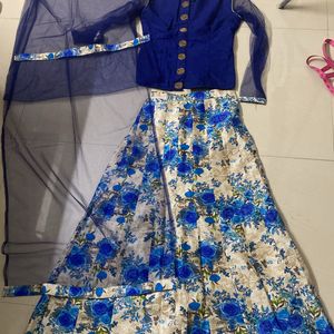 Crop Top Skirt with net dupatta