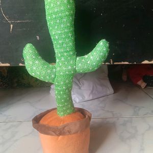 Talking Cactus