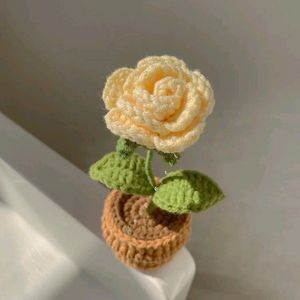 Crochet Rose Pot