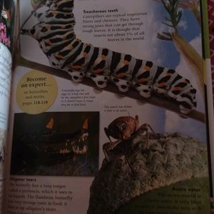 Animal Encyclopedia