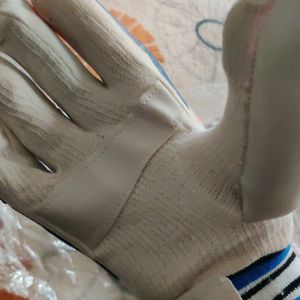 Cricket Hand Gloves