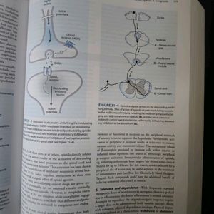 Basics And Clinical Pharmacology