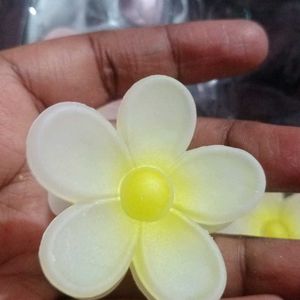 3 Flower Clips