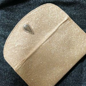 Shimmery Clutch/ Purse