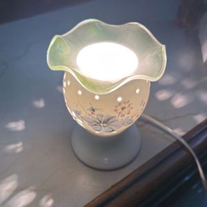 Oil Diffuser with Bulb